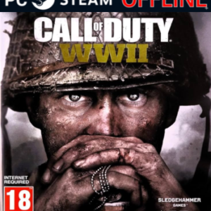 Call of Duty: WWII - PC Steam Offline - Mídia Digital